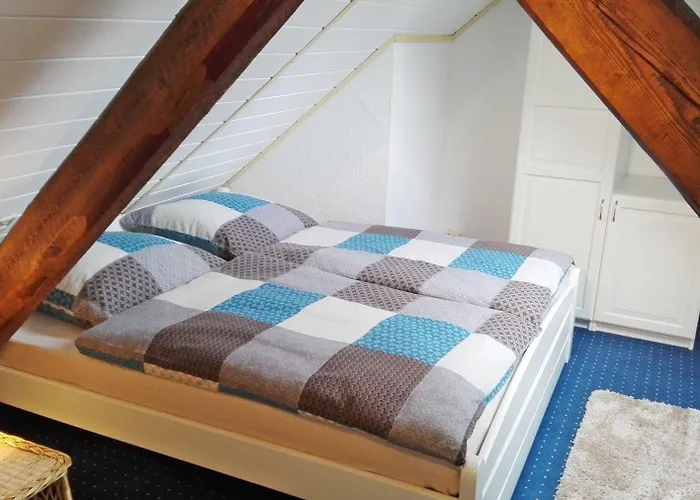 戈尔登杜科酒店 酒店 3*